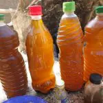 INDEX CAMEROUN
