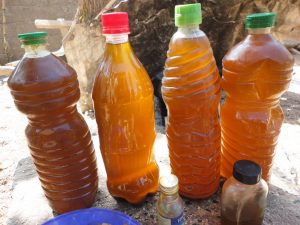 Lire la suite à propos de l’article L’huile de neem lutte contre les insectes ravageurs (bruches) de légumineuses