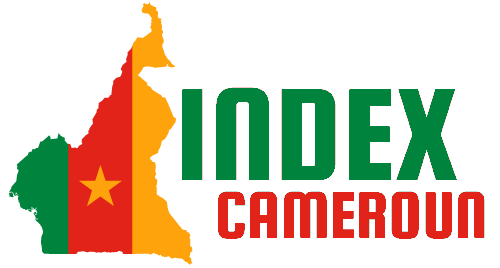 Index Cameroun