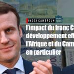 Lire la suite à propos de l’article l’impact du franc CFA sur le développement effréné de l’Afrique et du Cameroun en particulier
