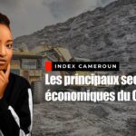 Lire la suite à propos de l’article Les principaux secteurs économiques du Cameroun